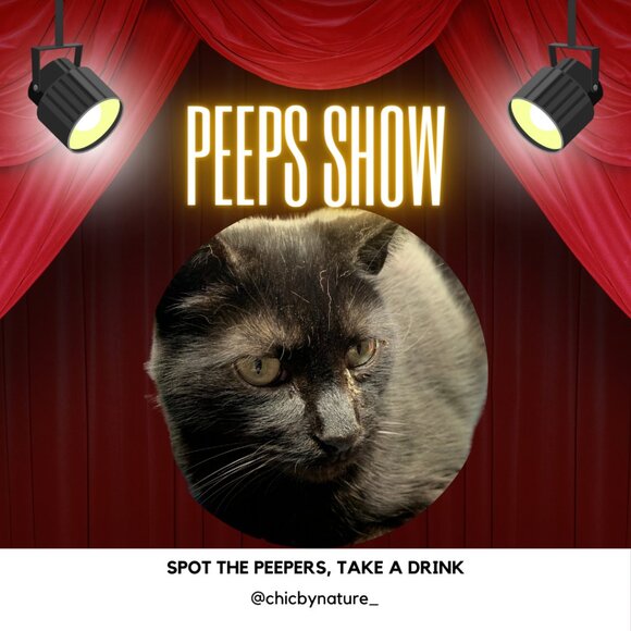 ANDREA IS LIVE! - Picture 4 of 4